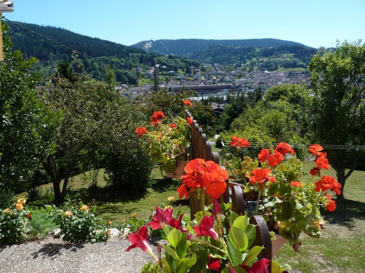 La Maison Bel'Air Gerardmer Exterior photo